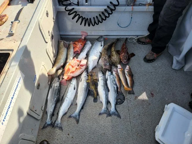 Salmon Fishing Coal Harbour Quatsino Sound