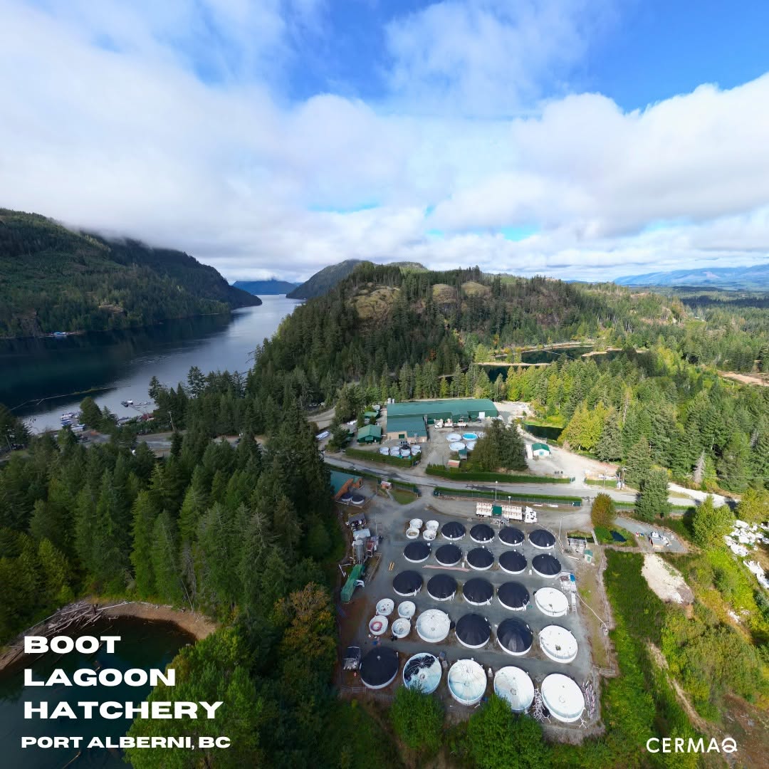 Hupačasath Chief Orders Cermaq to Close Hatchery