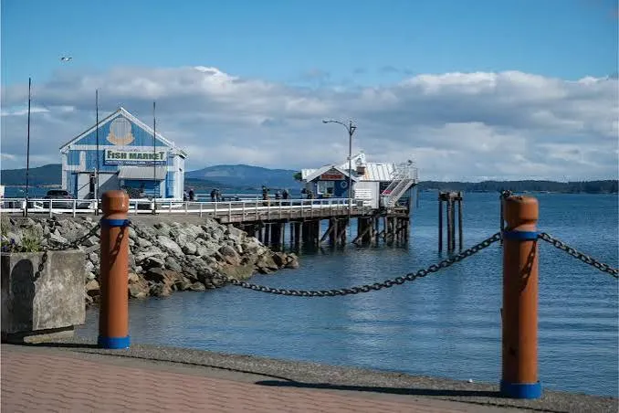 James Island Pier Near Sidney