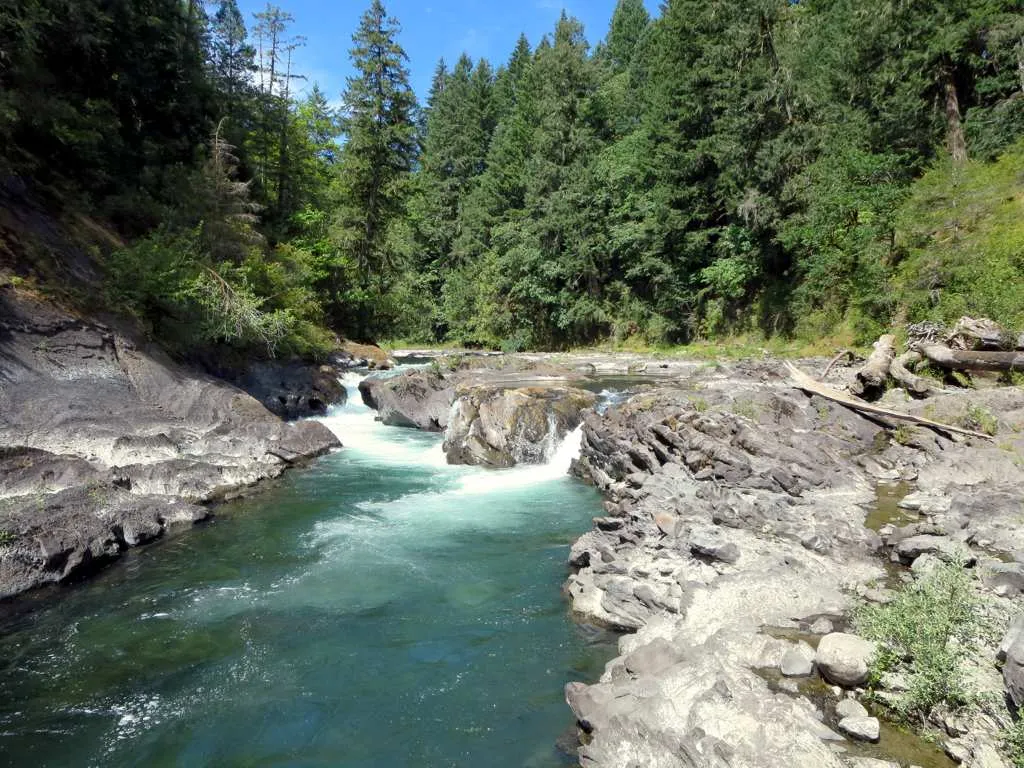 Fishing in Cowichan River
