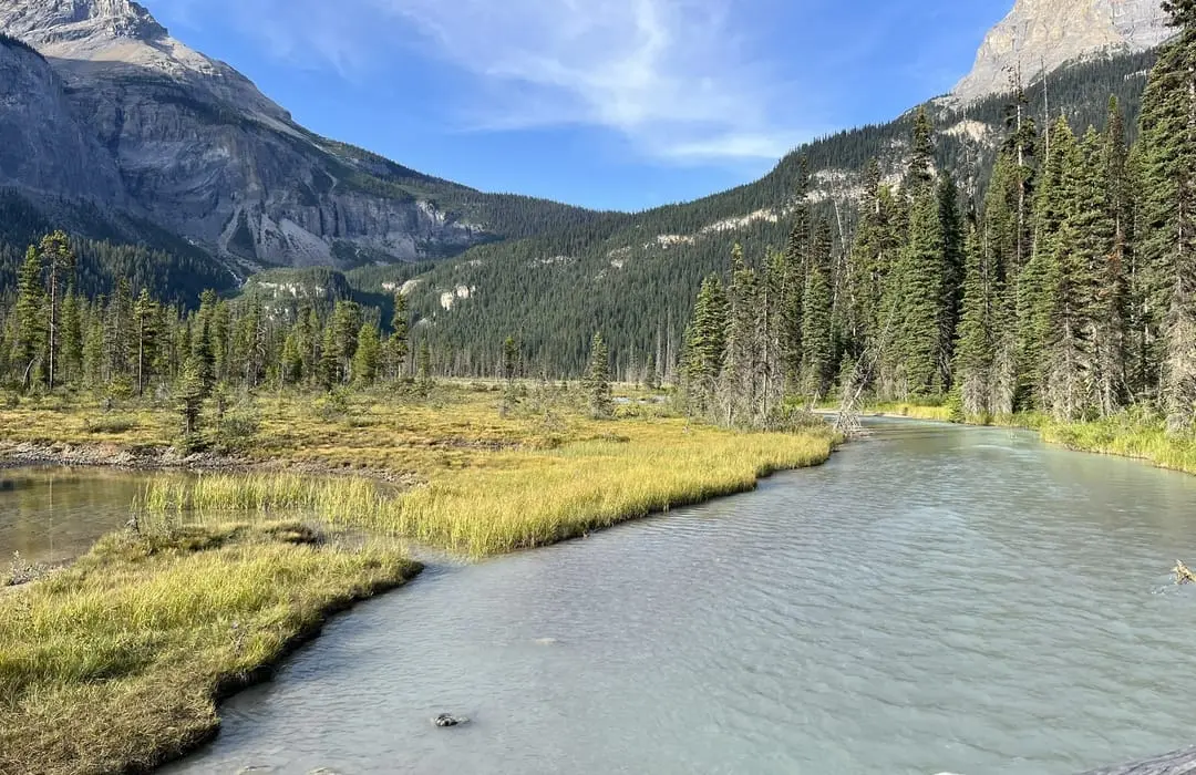 Fishing in Stamp River