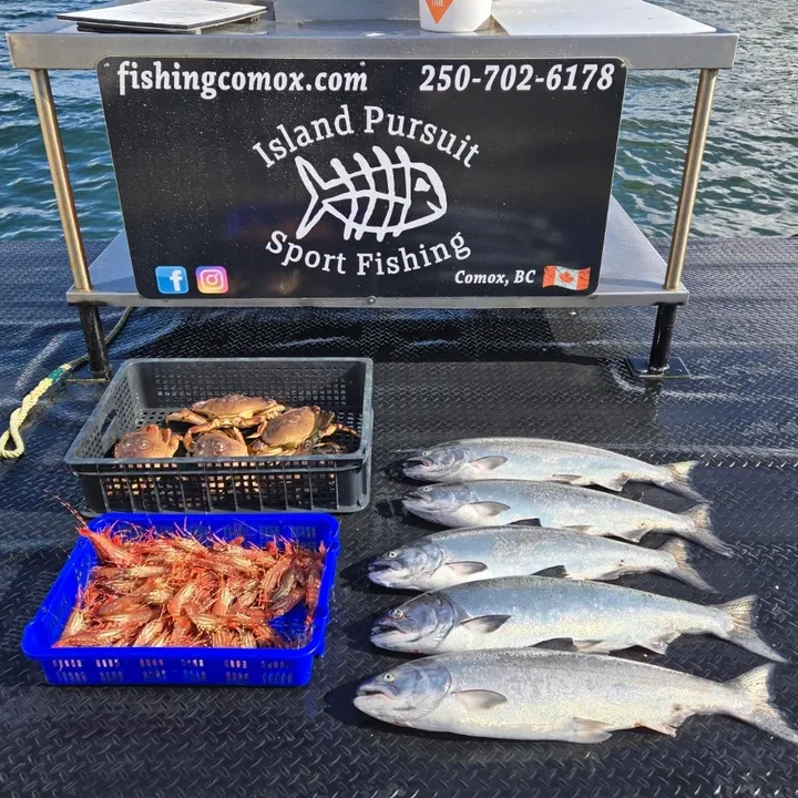 Island Pursuit Sport Fishing: 6 Hour Trip | VI-FT-007