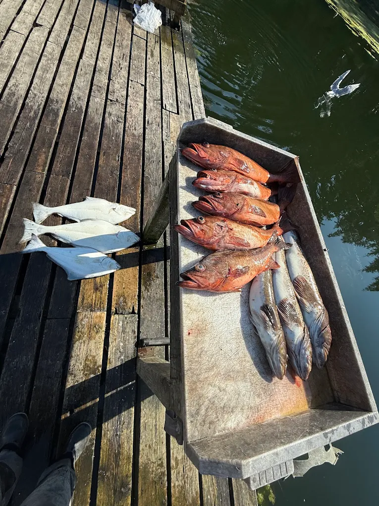 Fair Fight Fishing Charters