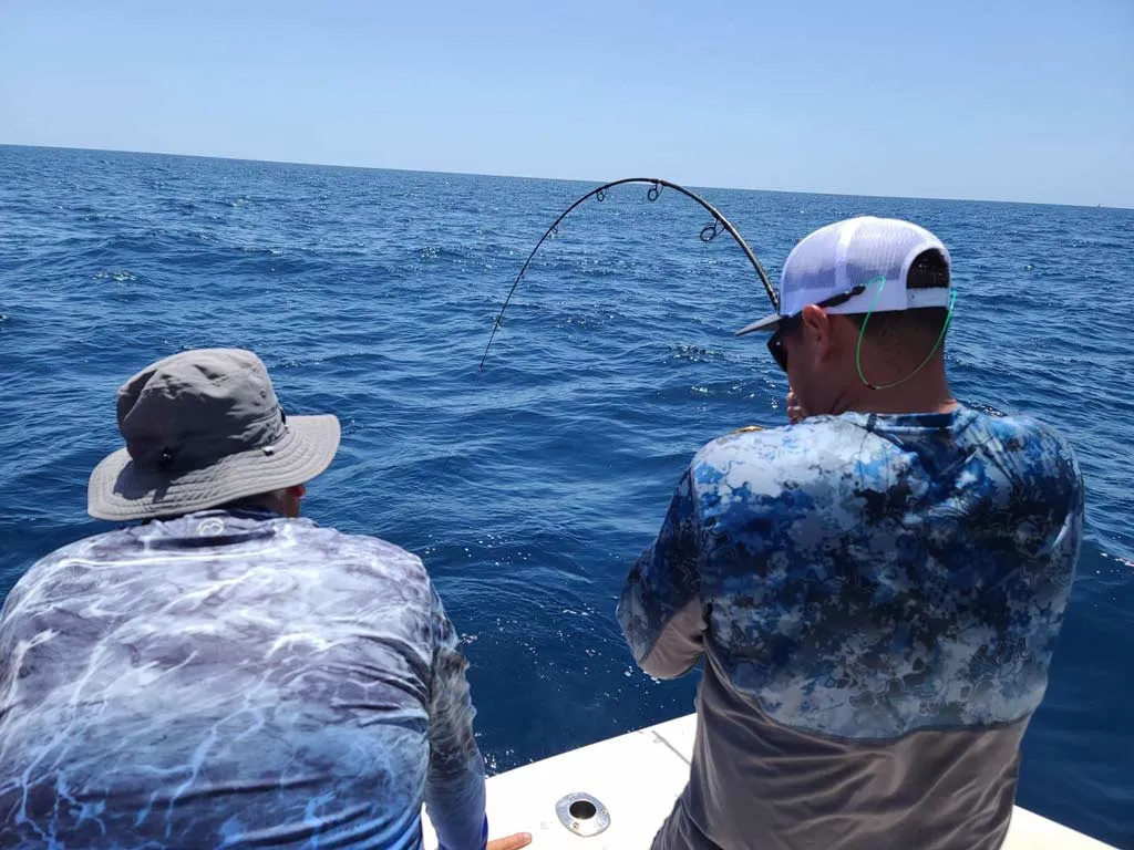 Bottom Fishing