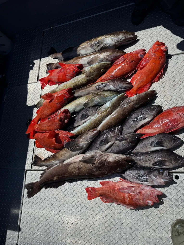 Salmon Fishing Ucluelet Barkley Sound