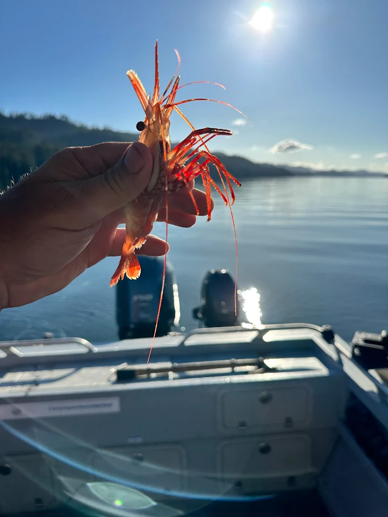 Reelin' Shores Fishing Charters