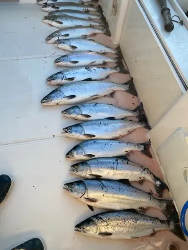 Vancouver Island Fishing Tours