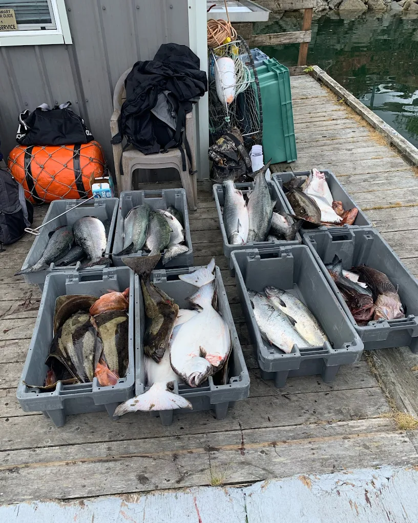 Vancouver Island Fishing Tours