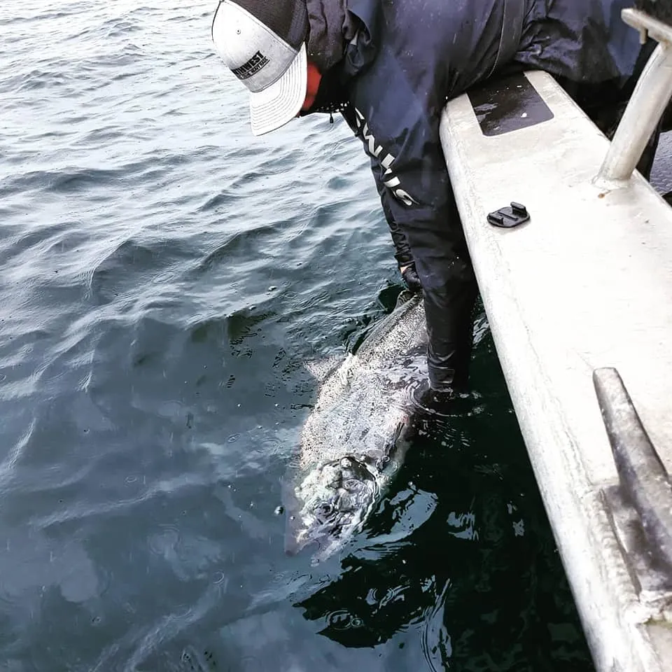 Salmon Fishing Tofino Clayoquot Sound