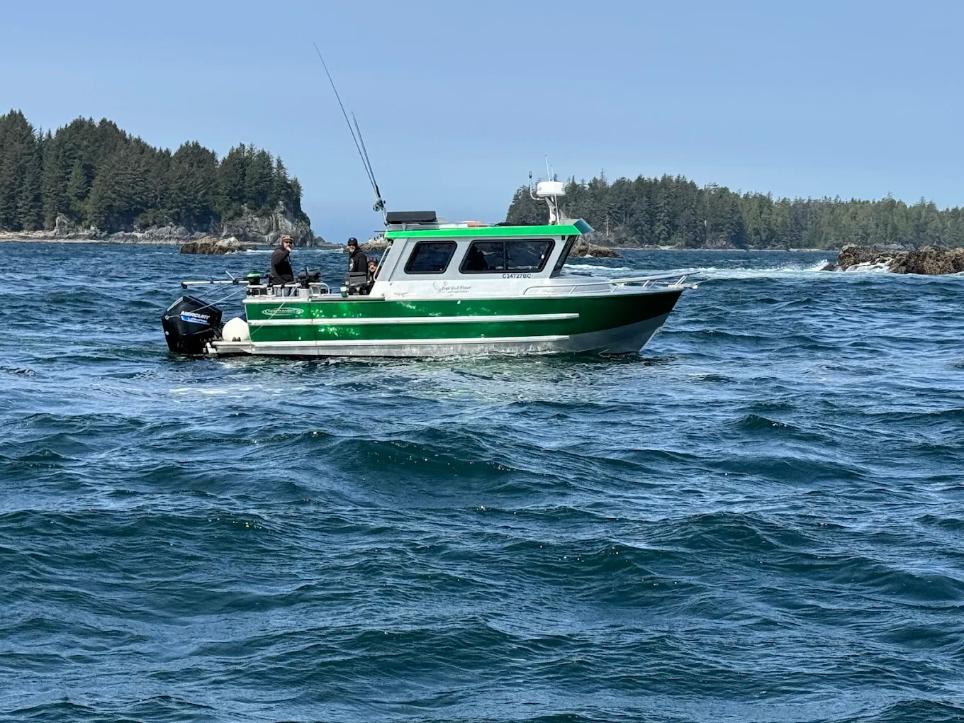Marine Wildlife Sooke Barkley Sound