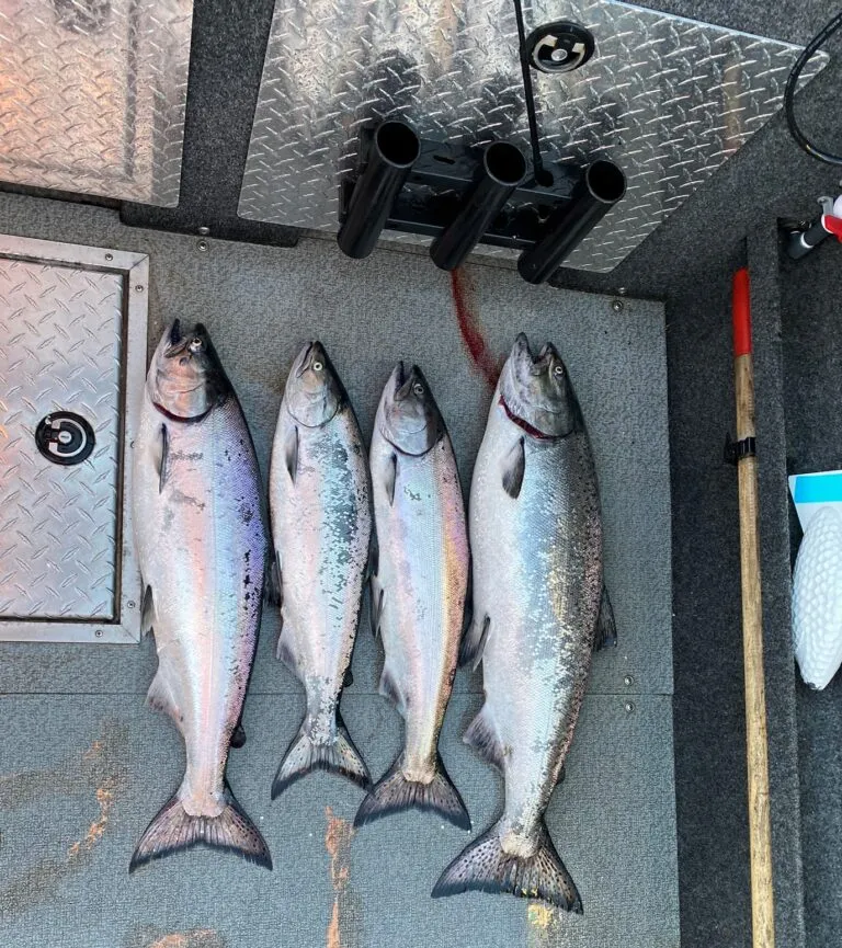 Salmon Fishing Campbell River Discovery Passage
