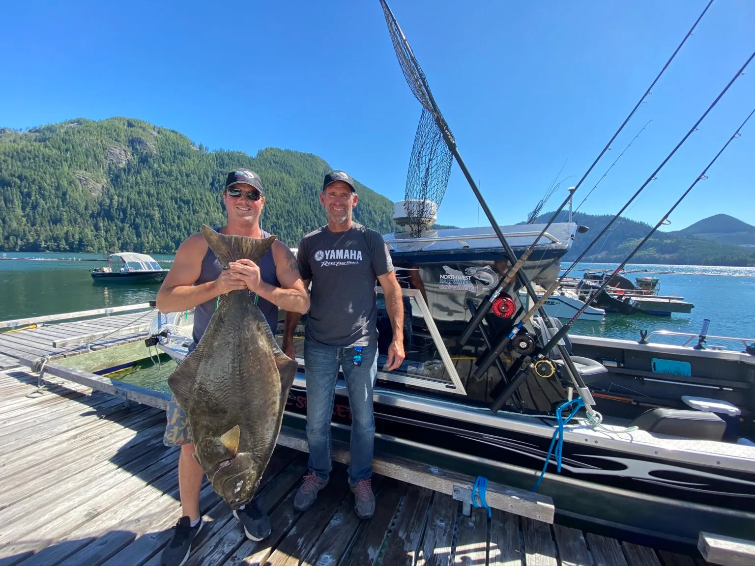 Marine Wildlife Campbell River Discovery Passage