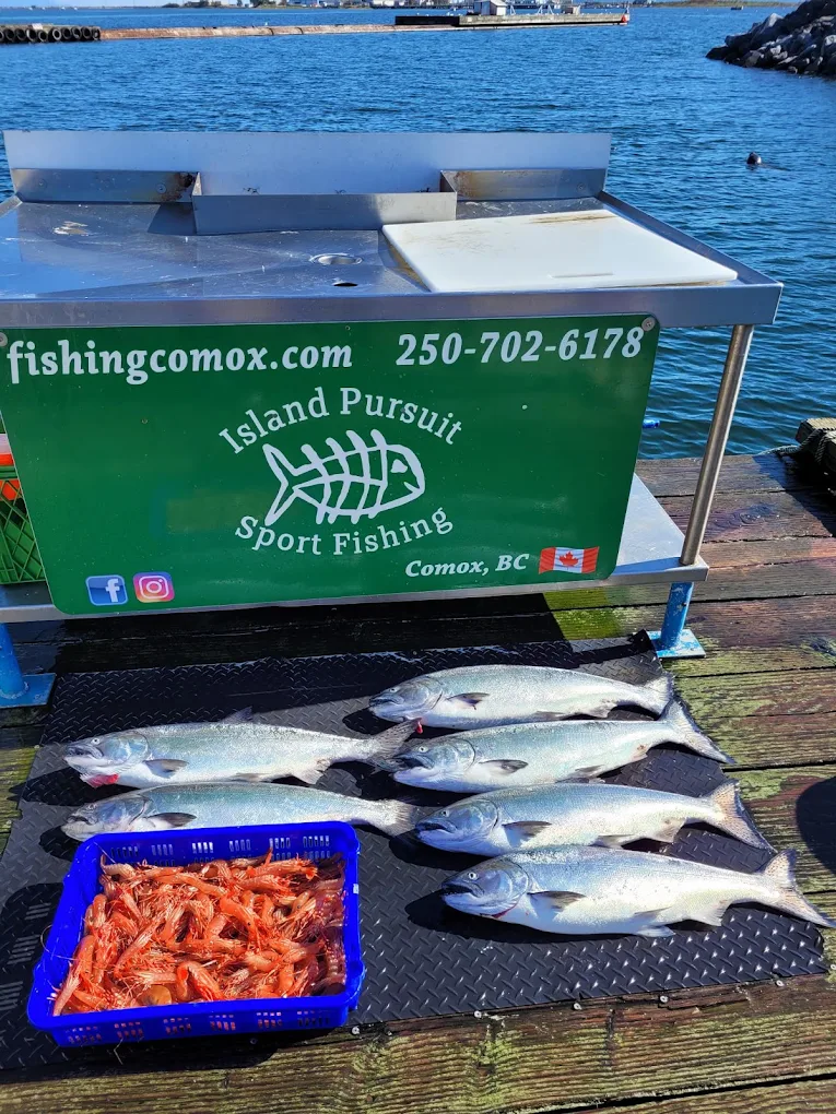 Salmon Fishing Comox Valley