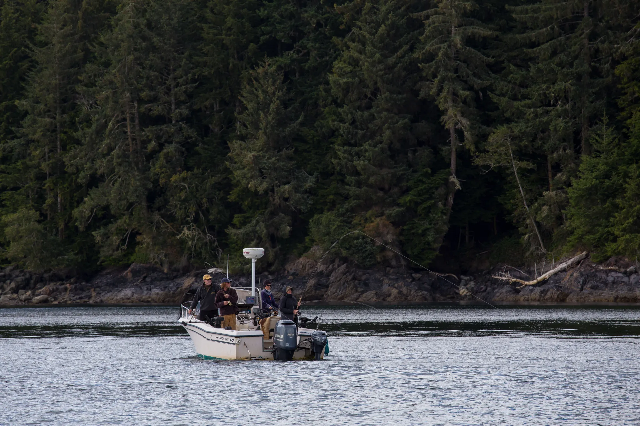 Blackfish Lodge Great Bear Rainforest