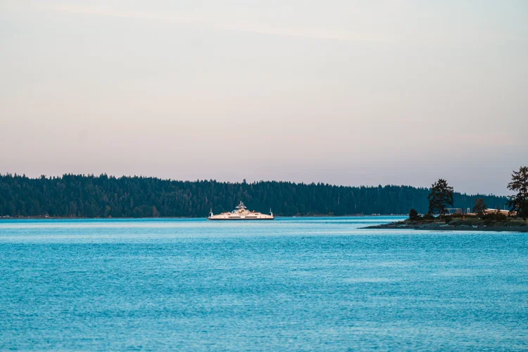 Marine Wildlife Campbell River
