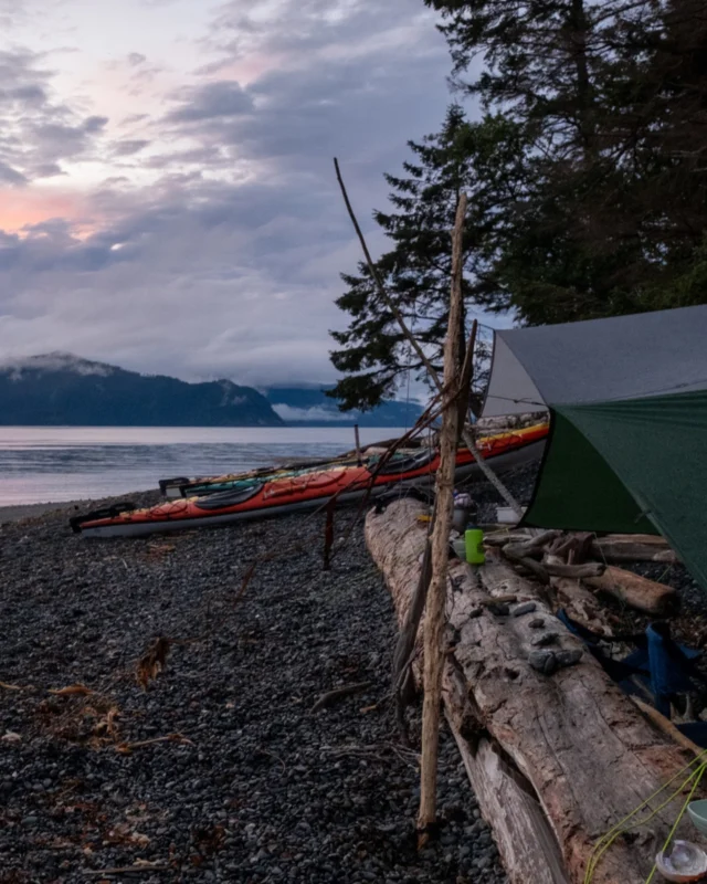 Kingfisher Wilderness Adventures Sea Kayaking