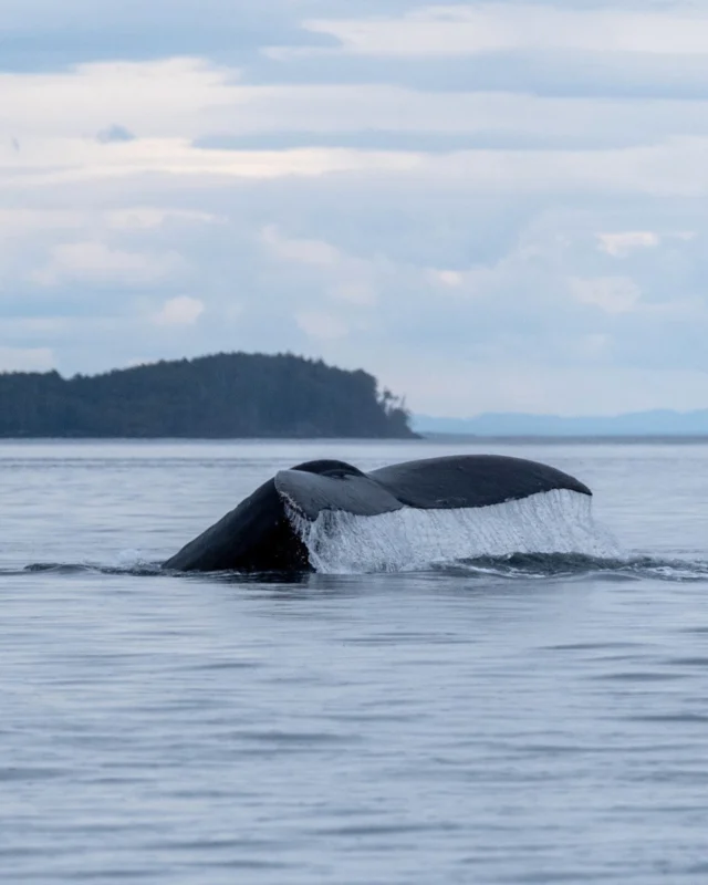 Vancouver Island Fishing Directory