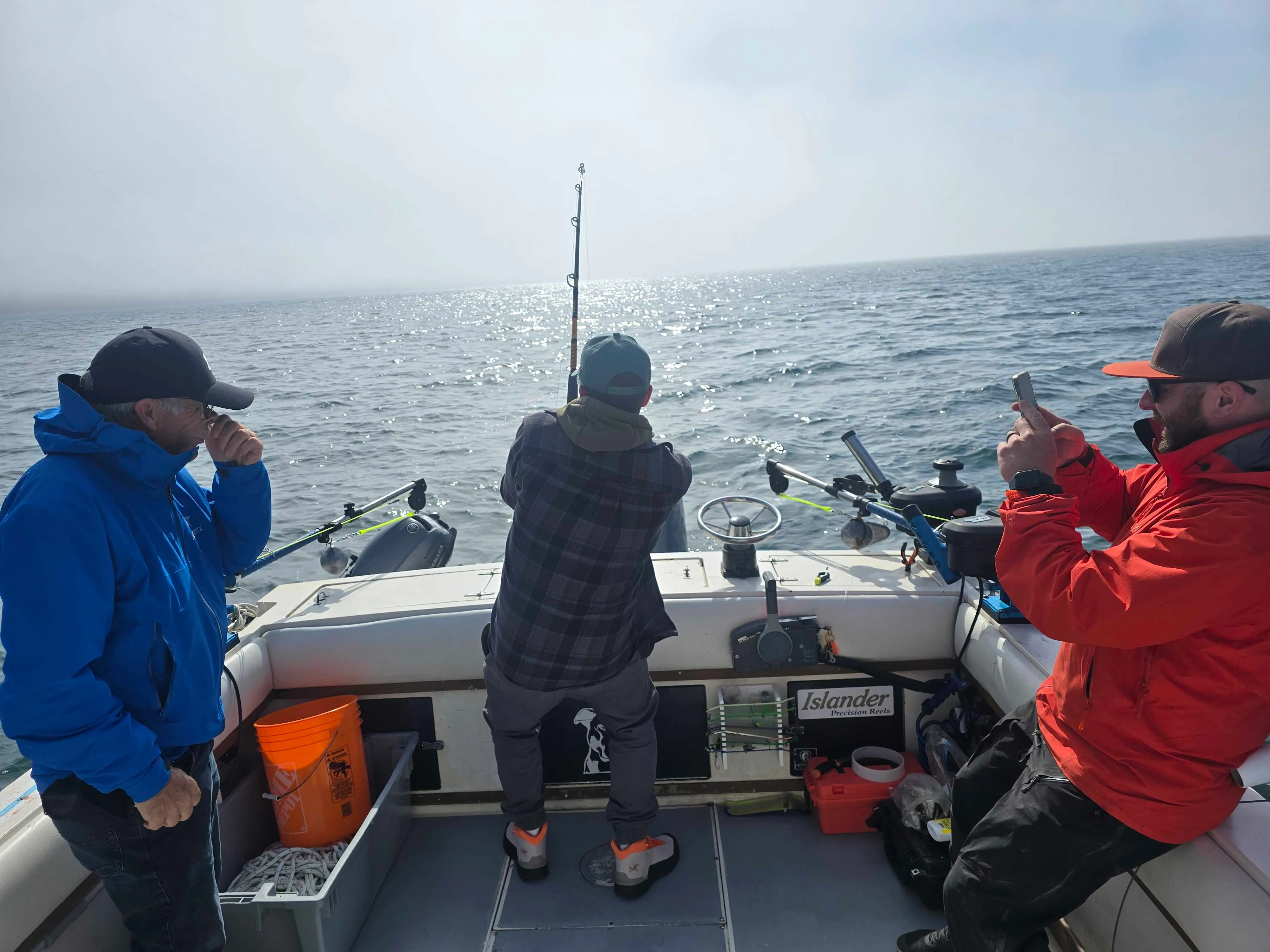 Marine Wildlife Sooke
