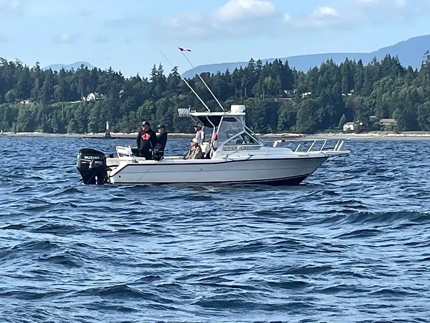 Marine Wildlife Nanaimo